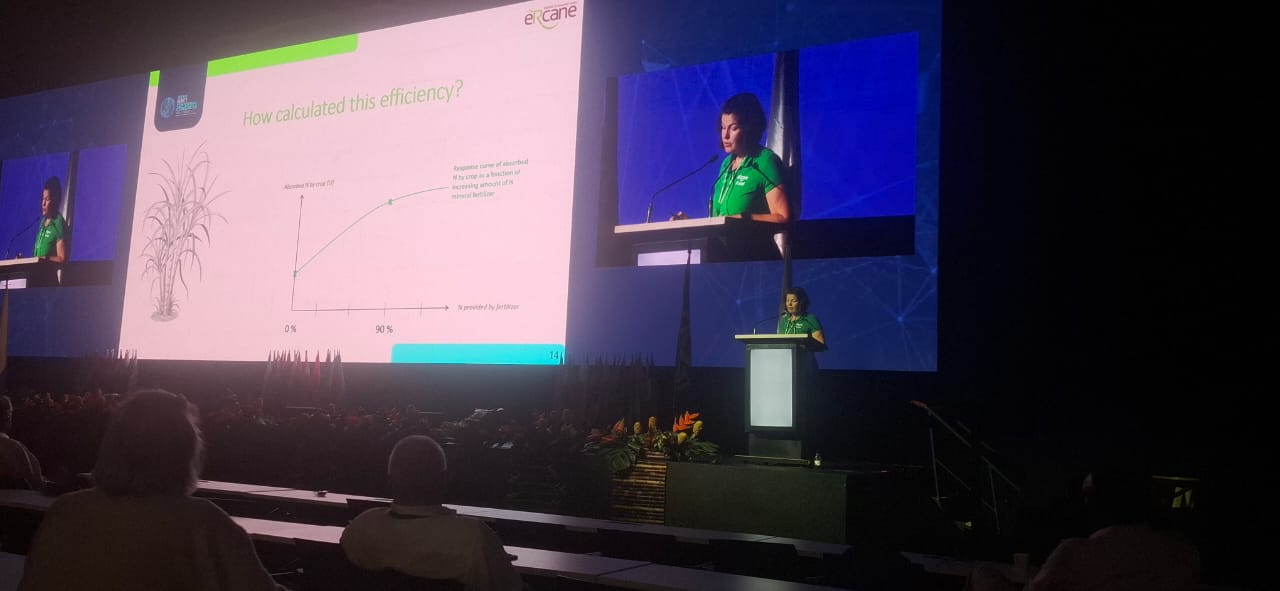 Boosting Nitrogen Efficiency in Tropical Sugarcane Soils: Exploring the Latest from Amélie Février Boosting Nitrogen Efficiency in Tropical Sugarcane Soils: Exploring the Latest from Amélie Février
