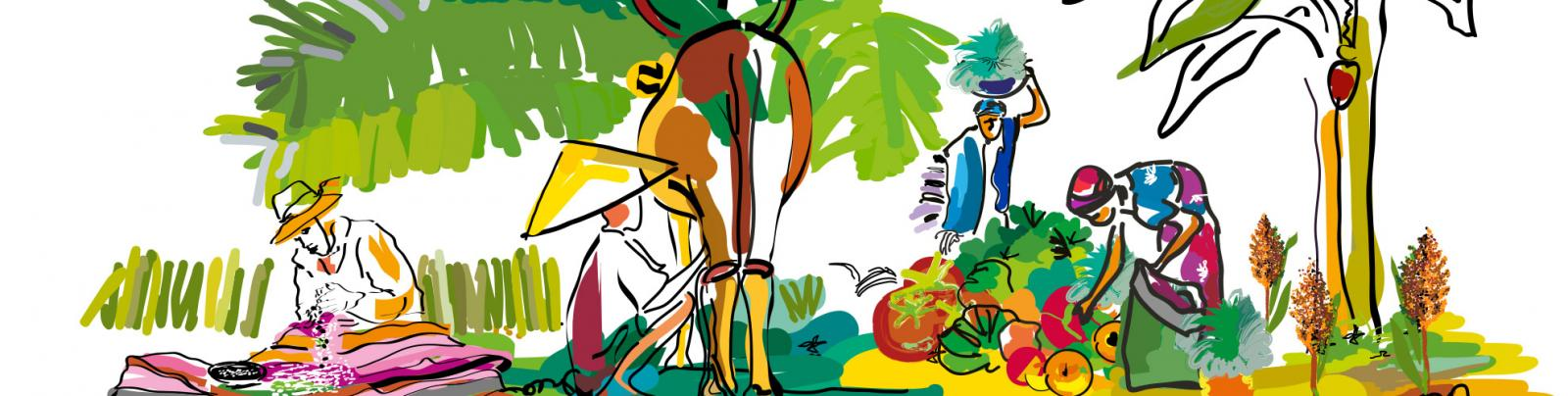 CIRAD Advances Agroecological Innovation in the Sugarcane Sector CIRAD Advances Agroecological Innovation in the Sugarcane Sector
