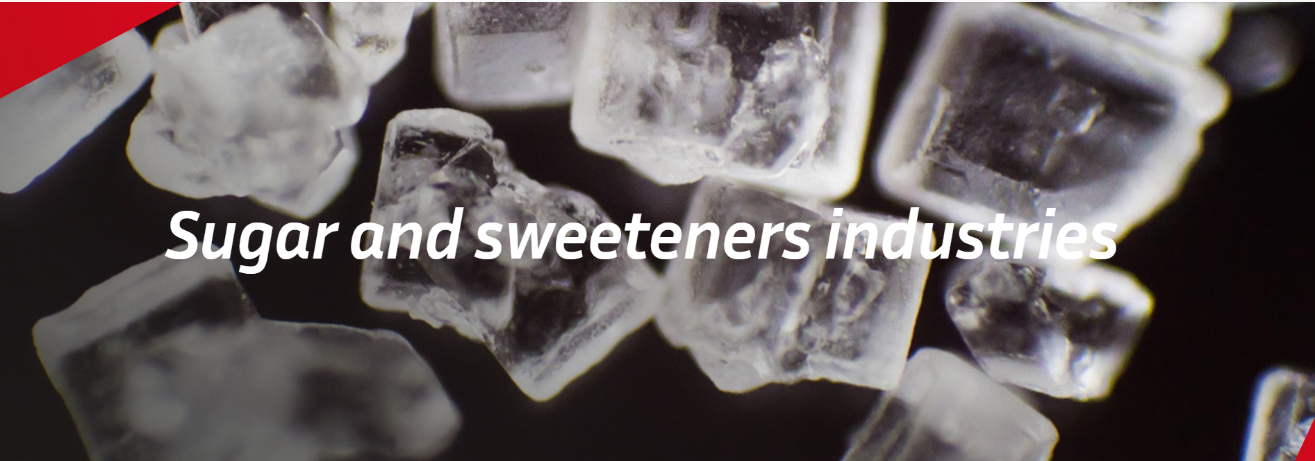 ITECA — Smart Vision and On-Line Control for Premium Sugar Quality ITECA — Smart Vision and On-Line Control for Premium Sugar Quality