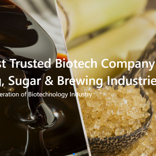 The Catalysts Group — Enzyme-Driven Innovation for High-Performance Sugar Processing