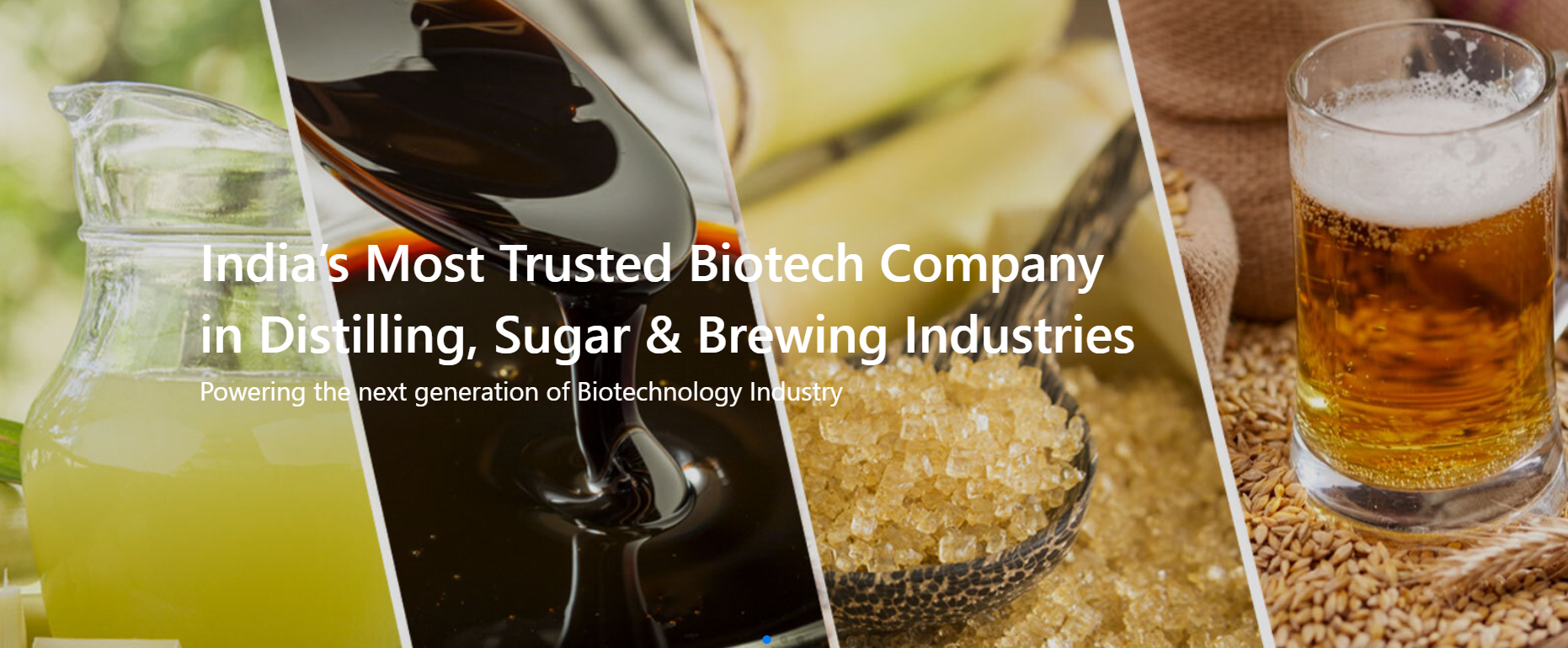 The Catalysts Group — Enzyme-Driven Innovation for High-Performance Sugar Processing The Catalysts Group — Enzyme-Driven Innovation for High-Performance Sugar Processing