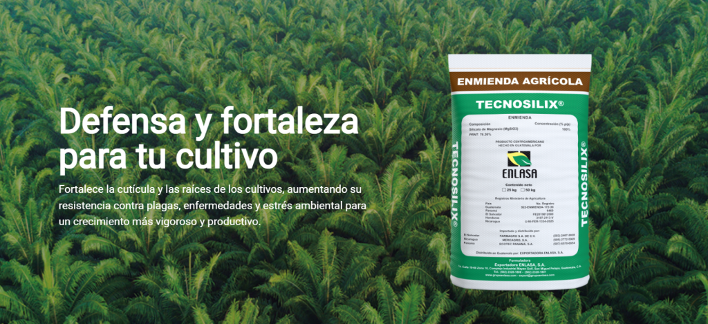 Grupo Enlasa: 25 Years of Innovation in Agricultural Productivity, Exhibitor at the ISSCT Centenary Congress 2025