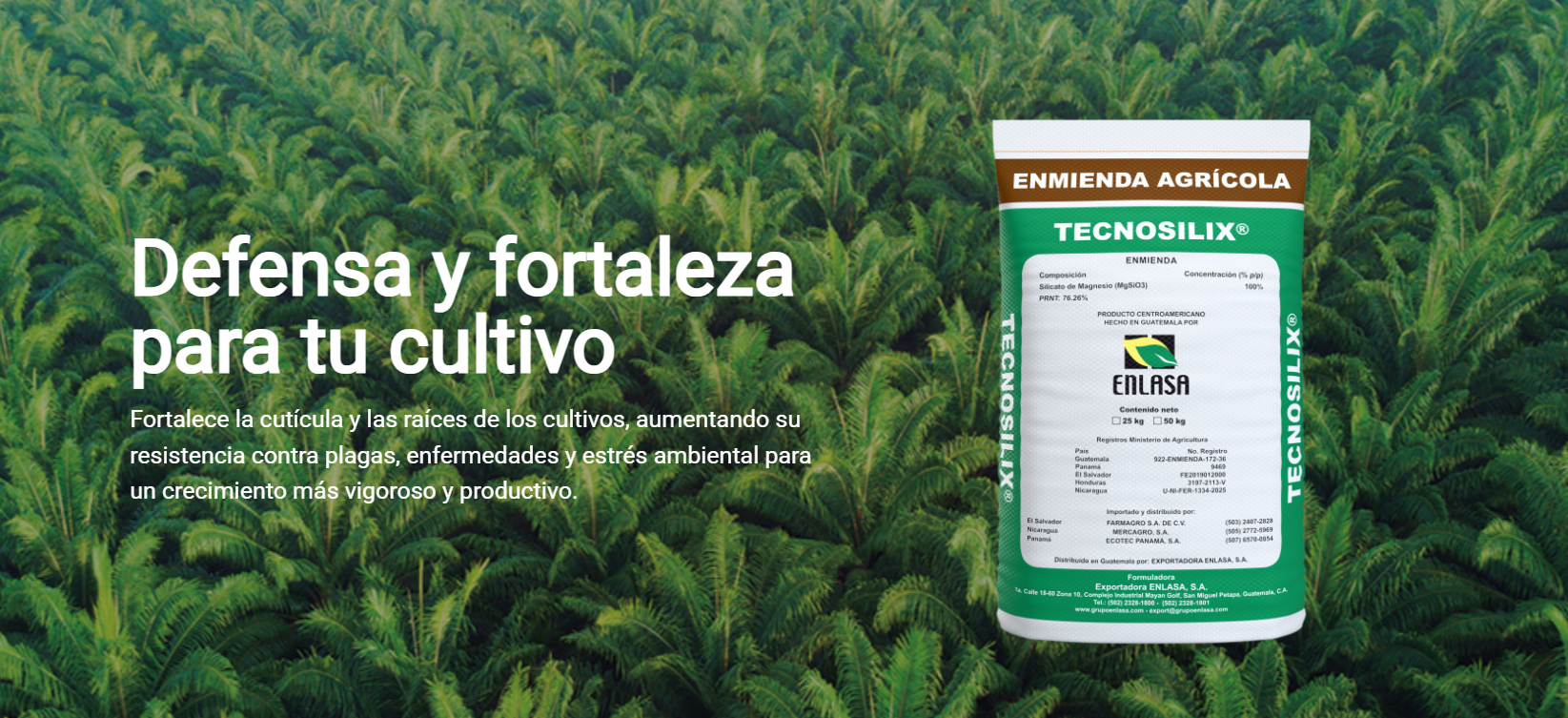 Grupo Enlasa: 25 Years of Innovation in Agricultural Productivity, Exhibitor at the ISSCT Centenary Congress 2025 Grupo Enlasa: 25 Years of Innovation in Agricultural Productivity, Exhibitor at the ISSCT Centenary Congress 2025