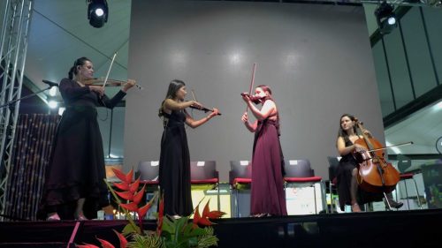 COCKTAILKAID01249