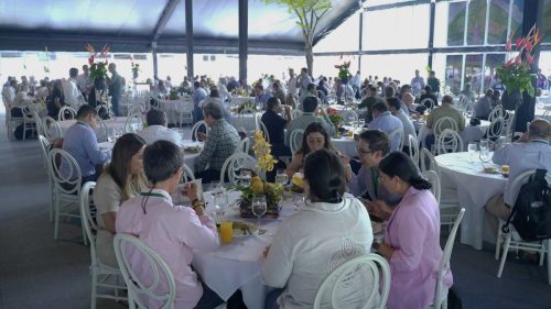 OPENNING-CEREMONY-AID01687