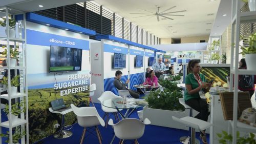 STANDS-ISSCT-03373