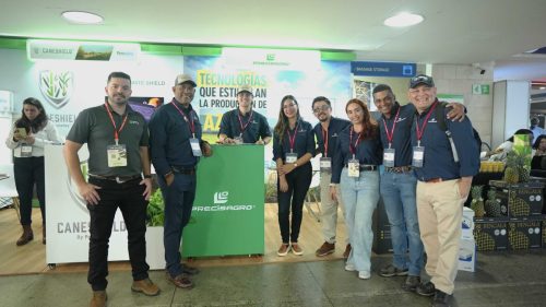 STANDS-ISSCT-03434